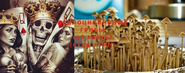 синтетический гашиш Новодвинск