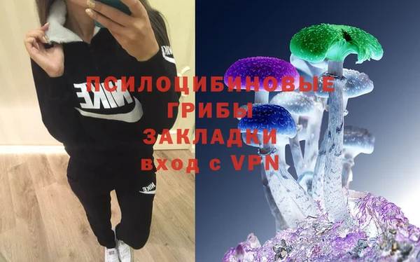 наркотики Новозыбков
