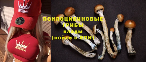 синтетический гашиш Новодвинск