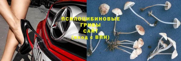 синтетический гашиш Новодвинск