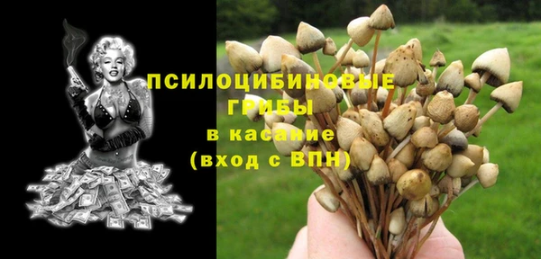 наркотики Новозыбков