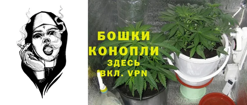 закладки  Уяр  KRAKEN маркетплейс  Шишки марихуана White Widow 